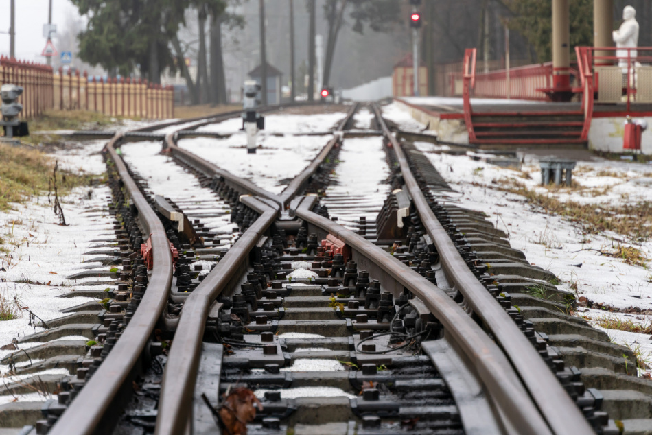 Из Москвы и Петербурга на новогодние праздники запустят дополнительные поезда и заморозят цены на «Сапсаны»