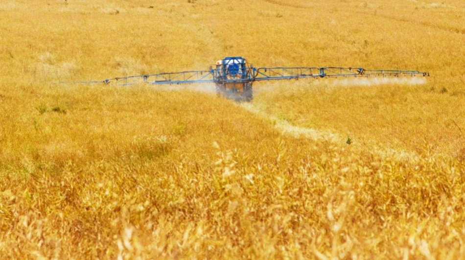 Ограничения на вывоз твердой пшеницы ввели в России до 31 мая 