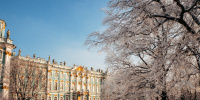Главные события зимы 2023-2024 в Петербурге