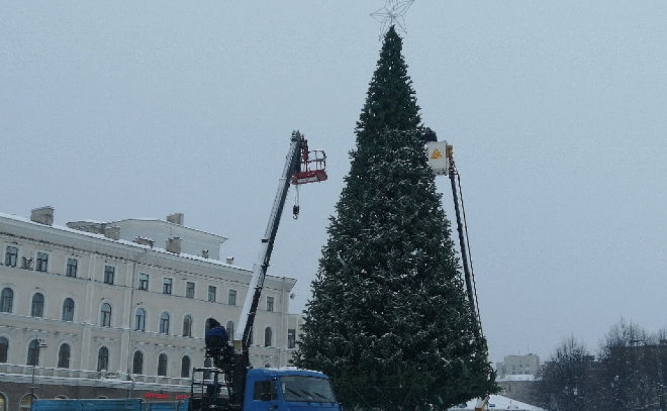 В Выборге установили главную новогоднюю елку