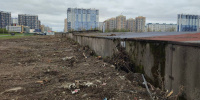 Гаражный кооператив на Оптиков оштрафовали на 84 тыс. рублей за вырубленные деревья Гаражный кооператив на Оптиков оштрафовали на 84 тыс. рублей за вырубленные деревья