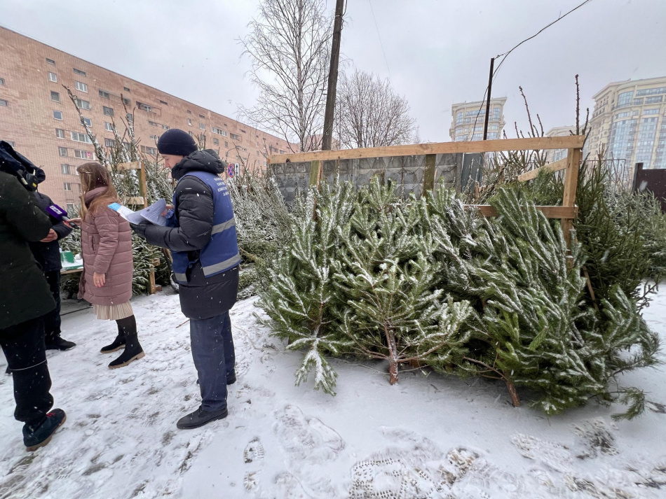 Шесть точек по незаконной торговле елками прикрыли в Петербурге