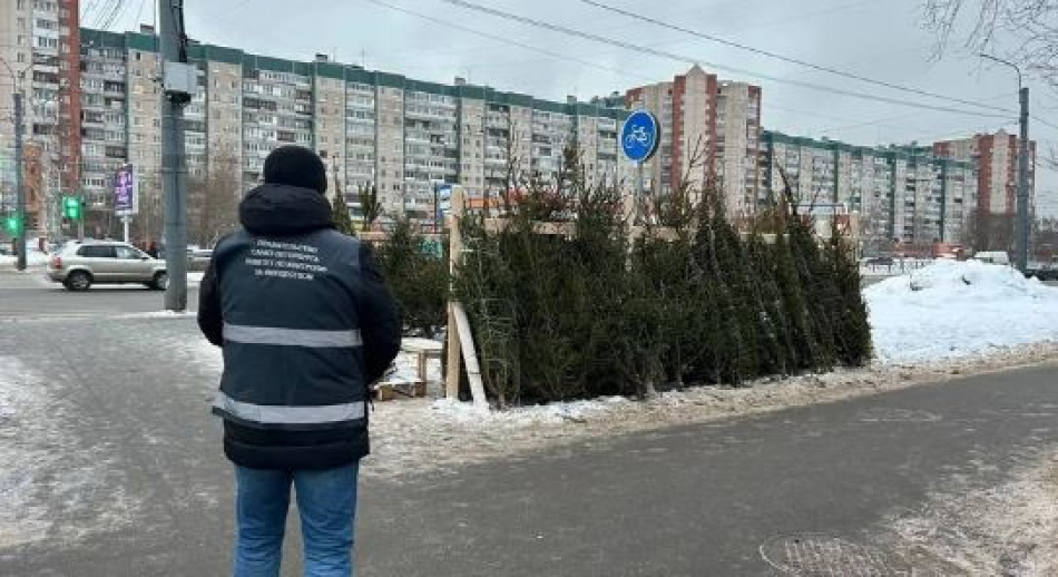25 незаконных елочных базаров убрали с улиц Петербурга