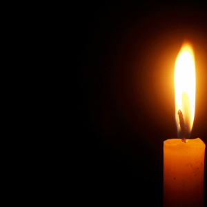 Рождественские богослужения в Соборе Владимирской Иконы Божией Матери 2024