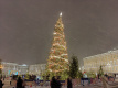 В Петербурге начался демонтаж главной новогодней ели 