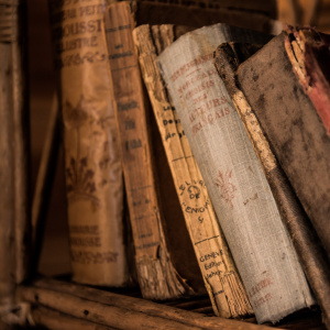 Тематическая беседа "Сказки-несказки Виталия Бианки"