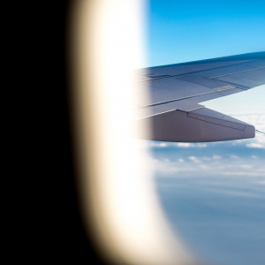 Интерактивная программа "Подсмотрено у природы: история изобретений и открытий"