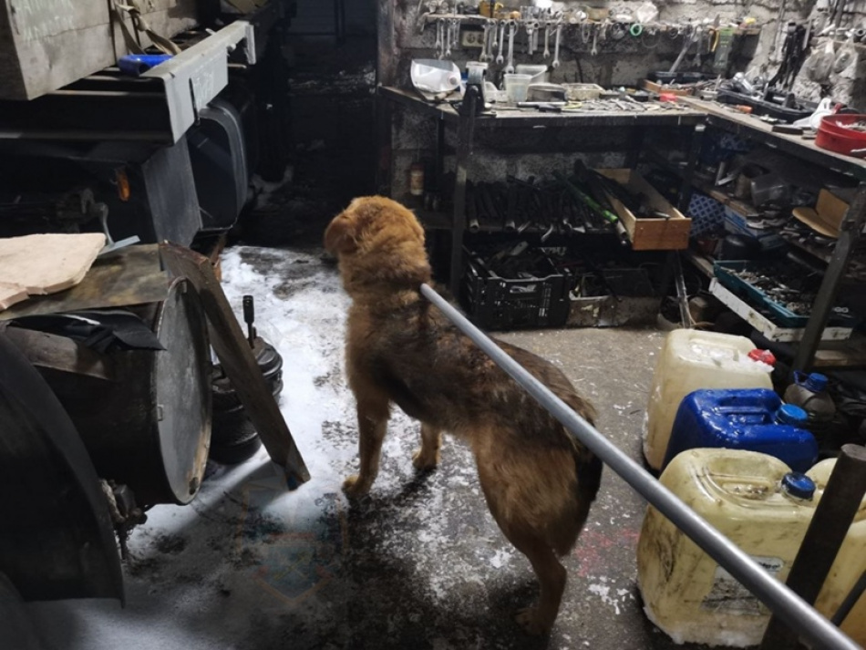 В Ленобласти спасатели пришли на помощь собаке, упавшей в кессон в гараже