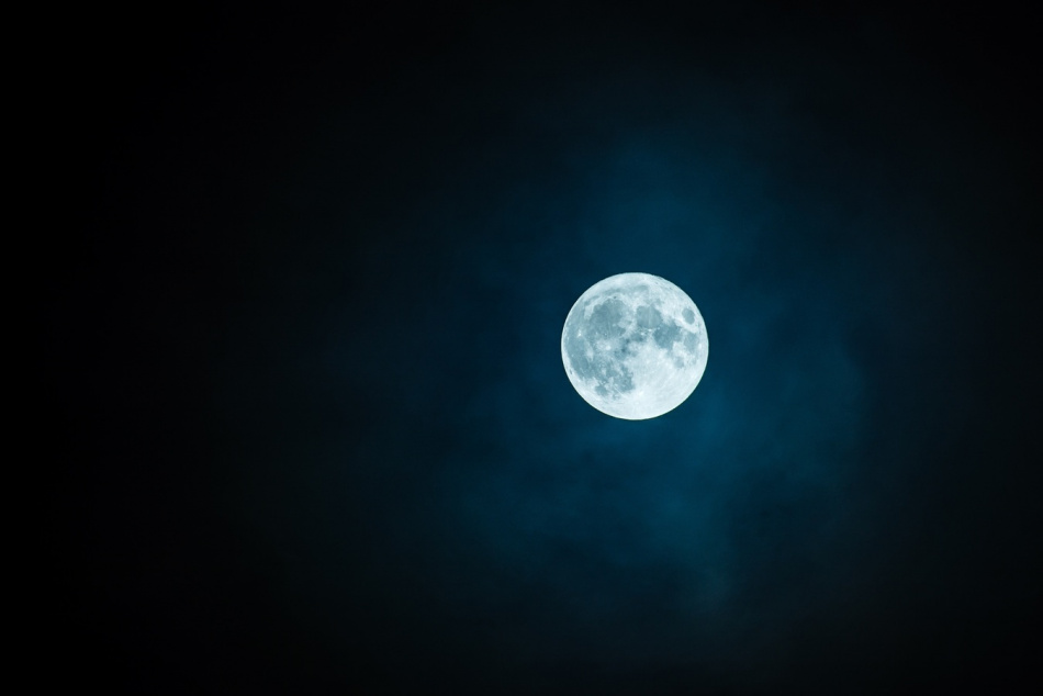 «Волчью Луну» заметили в небе над Петербургом 