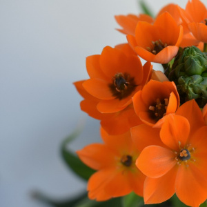 Концерт "Весна & Disco"