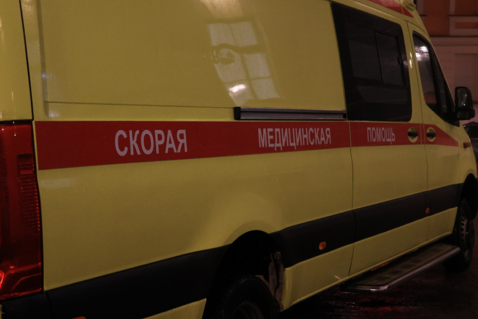 В Петербурге школьника покусала собака 
