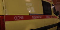 В Петербурге школьника покусала собака 
