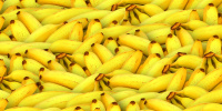 Пять компаний из Эквадора вновь начнут поставлять бананы в Россию