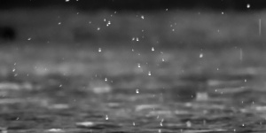 В Ленобласти в предстоящую субботу ожидается дождь и до +11 градусов 