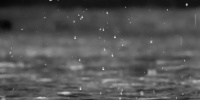В Ленобласти в предстоящую субботу ожидается дождь и до +11 градусов 