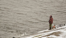 Рыбаки чуть не уплыли на льдине в Финском заливе