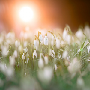 Интерактивная программа «8 марта в АВИАТОРЕ»