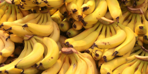 В Петербурге наркотики обнаружили в контейнере с бананами
