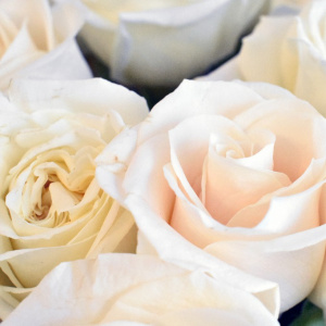 Дискуссия "Как поздравить с 8 марта и никого не обидеть?"