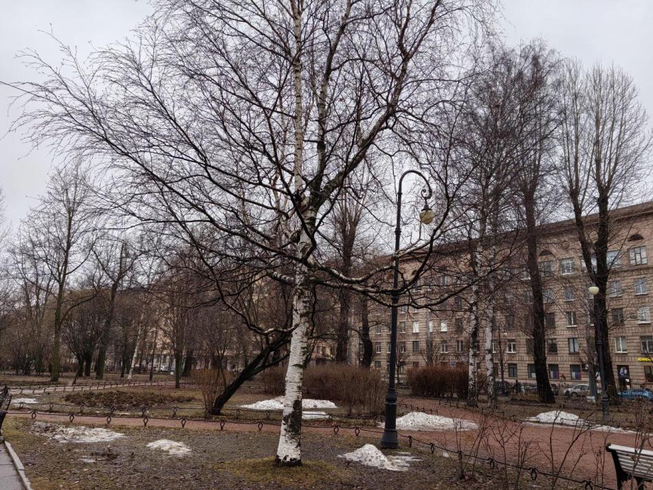 В Петербурге пошел снег