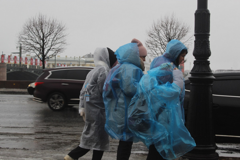 МЧС предупреждает петербуржцев о сильном ветре и ледяном дожде
