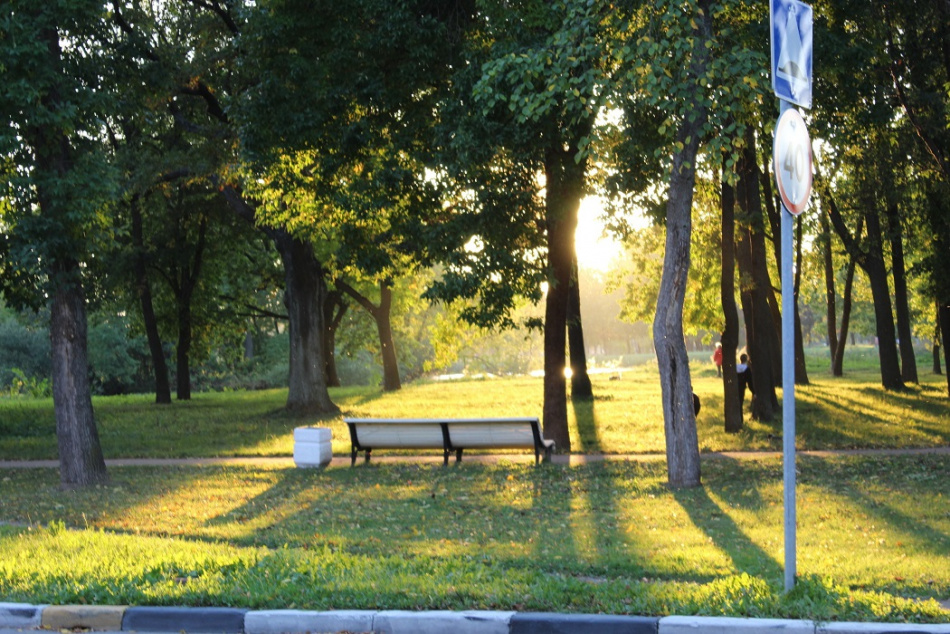 Пулковскому парку вернут название "Парк Городов-Героев"