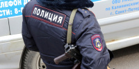 Жителя Ленобласти задержали за нажатие тревожной кнопки в ТЦ Петербурга