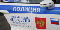 Иностранец подсунул школьнице наркотики и изнасиловал её в Петербурге