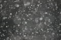 Снег, гололедица: какая погода ожидается в Петербурге в предстоящие выходные 