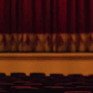 Шоу "Король Лев"