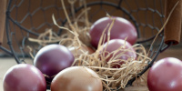 В ФАС напомнили о запрете повышения цен на яйца