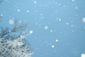 В Петербурге 19 апреля ожидается сильный снег 