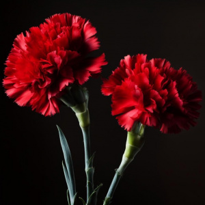 Акция "Бессмертный полк"