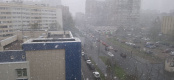 Майский снегопад прошёл сегодня в Петербурге