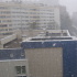 Майский снегопад прошёл сегодня в Петербурге