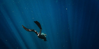 На Пхукете с 16 мая запретили подводное плавание и дайвинг 