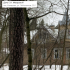 Три деревянные дачи в Комарово и Зеленогорске признали памятниками архитектуры