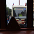 Трамваи вышли на Садовую улицу в Петербурге