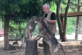 В Ленинградском зоопарке волкам Мраку и Сумраку исполнилось два года 