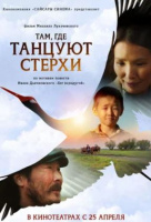 Там, где танцуют стерхи Там, где танцуют стерхи