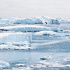 Учёные выяснили, с какого момента стабилен лёд в Антарктиде