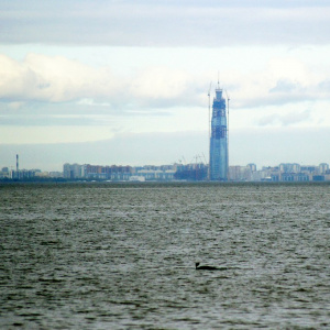 Заплыв на открытой воде Poseidon