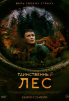 Таинственный лес Таинственный лес