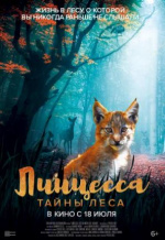 Линцесса. Тайны леса (Lincessa. Los silencios del bosque)