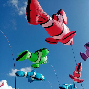 XII Фестиваль воздушных змеев "Летать легко!" 2024