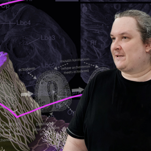 Лекция "Упоротый Палеонтолог. Вперед, вторичноротые!"