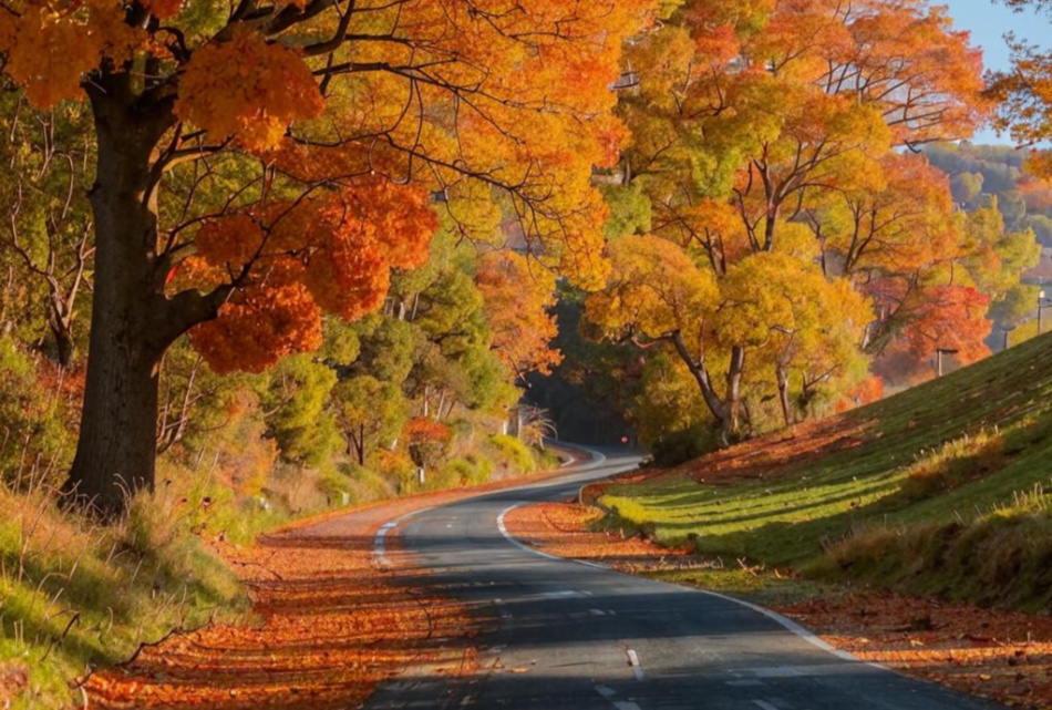 Музыка при свечах, Фестиваль "Будь с Городом!" и День Д: куда пойти в Петербурге с 30 августа по 5 сентября