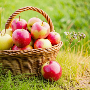 Праздник "Яблочный полдень" 2024