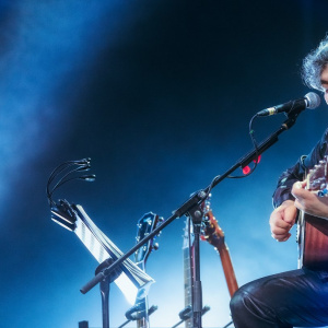 Концерт Анатолия Вишнякова