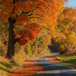 Фольклорный праздник "Осенины"